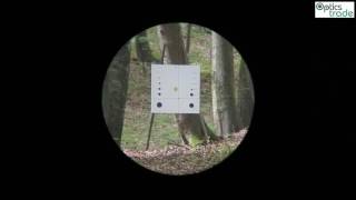 Sightron SIII 624x50 LR reticle TDot subtensions [upl. by Nirroc400]