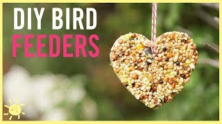 DIY  How to Make a Bird Feeder Easy Kids Craft [upl. by Ziana]