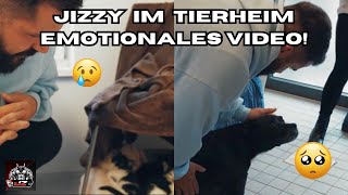 1 TAG IM TIERHEIM🥺Kranke KATZENBABYS und einsame HUNDE🐶🐱 JIZZYMUC [upl. by Yhotmit]