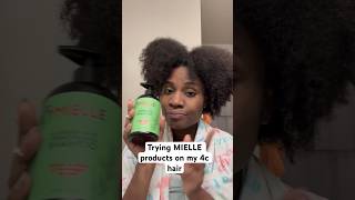 Trying Mielle hair products on my 4c hair 4chair [upl. by Laniger]