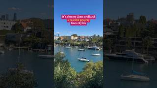 I’m blown away by Sydney’s best scenic short walk Cremorne Point Walk NSW [upl. by Attenod]