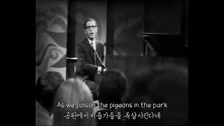 가사번역 Tom Lehrer  Poisoning Pigeons in the Park 공원의 비둘기들을 독살시키자 [upl. by Nirro811]