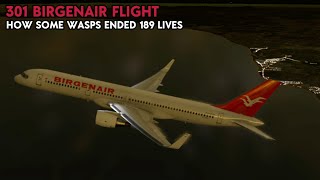 How a Wasp Nest Ended 189 Lives  Reconstruction of Birgenair Flight 301 [upl. by Tryck932]