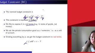 ConsumptionLeisure Model Budget Constraint 1 [upl. by Nueoras606]