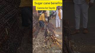 sugarcane benefitsगन्ने के जूस पीने के कई फायदे हैंsugarcanejuice viral shorts healthyfood up [upl. by Lidah]