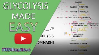 Glycolysis MADE EASY 2020  Carbohydrate Metabolism Simplified [upl. by Christensen]