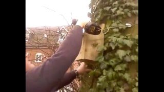 Putting Up Bird Boxes At Blenheim Grange [upl. by Compton]