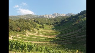 La combe denfer dans le vignoble de Fully [upl. by Riordan]