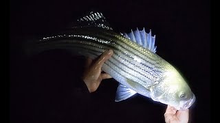 Surf Fishing Montauk Ny Night Time Stripers [upl. by Dela516]