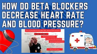 How do Beta Blockers Decrease Heart Rate and Blood Pressure [upl. by Brodeur502]