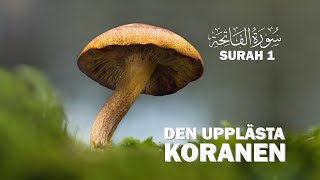 Uppläst Koran på arabiska amp svenska kapitel 1 alFatiha koranenpåsvenska islamse [upl. by Nnelg38]