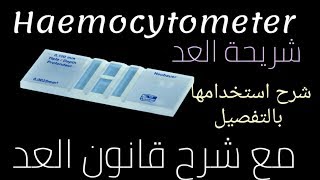 شريحة العد Haemocytometer وقانون العد  تعليم التحاليل الطبية للمبتدئين [upl. by Oludoet81]