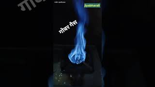 Gobar gasyoutubeshorts viralvideo fire gobargas naturalgas [upl. by Seyer]