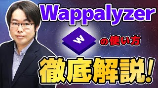 Wappalyzerの使い方徹底解説！ウェブサイトの使用技術や使用言語を調べよう [upl. by Cleveland]