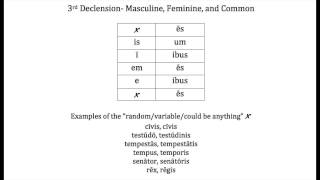 Latin 3rd Declension chant [upl. by Lydell29]