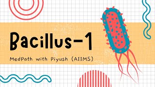 Bacillus anthracis1 Bacteriology AIIMS Bilaspur [upl. by Sielen]