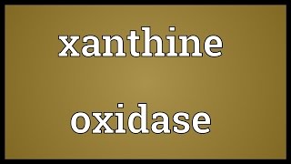 Xanthine oxidase Meaning [upl. by Walford]