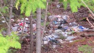 Odell Park in Fredericton is a huge mess all the way beside Prospect Why are we allowing this [upl. by Danuloff]