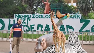 Nehru Zoological ParkHyderabadVlog1Mallu Singh2024 [upl. by Carlotta242]