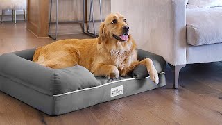 The 6 Best Dog Beds 2024 [upl. by Niac]