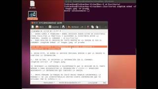 ENCRIPTADO Y DESENCRIPTADO CON STEGHIDE EN UBUNTU [upl. by Nwahsear]