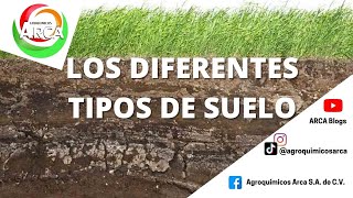 ¿Cuáles son los tipos de suelo [upl. by Grace227]