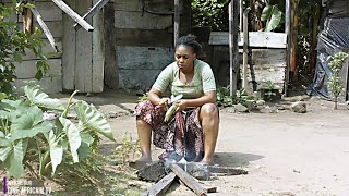 Regardez Comment Le Destin Dune Jeune Fille Sans Abri Vivant Dans Une Maison En Bois A Changé [upl. by Ecitnirp]