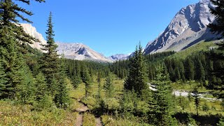 Hiking the Sawback Range  CANADIAN ROCKIES [upl. by Albion612]