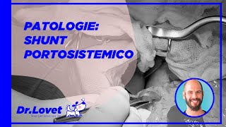 Lo shunt portosistemico grave alterazione vascolare epatica sintomi diagnosi e terapia [upl. by Kerrill680]