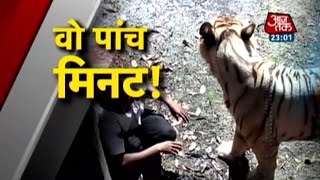 Vardaat  Vardaat White tiger mauls youth in Delhi zoo Full [upl. by Butta]