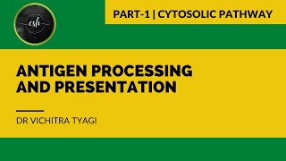 ANTIGEN PROCESSING AND PRESENTATION PART1 CYTOSOLIC PATHWAY [upl. by Wald]