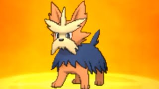 HERDIER Evolution LEVEL 16  Pokemon Sun amp Moon [upl. by Redfield]