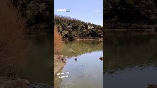 HELLENIC BEAUTY LAKE BELETSI ATTIKA GREECE travelvlog traveller traveldestinations [upl. by Celina409]