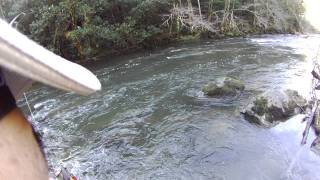 Steelhead Fishing in Oregon [upl. by Anawed784]