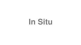 How to Pronounce quotIn Situquot [upl. by Annam]