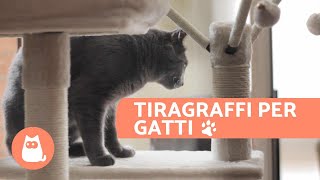 Tiragraffi per gatti  Vantaggi e dove posizionarlo [upl. by Thorn]