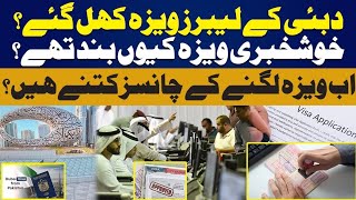 Dubai labour visa updates 2024  Dubai k visa lgnay shuru ho gy  Details by Muhammad Zubair [upl. by Ylehsa]