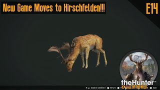 E14 New Game Moves to Hirschfelden theHunter Call of the Wild [upl. by Allisan]