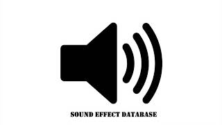 Musket Fire Sound Effect [upl. by Lodi]