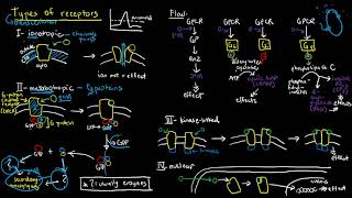 PHARMACOLOGY 6  Types of Receptors [upl. by Placido]