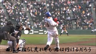 オリックス・バファローズ SKY PV 2013（歌詞あり） [upl. by Redman638]