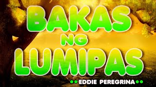 BAKAS NG LUMIPAS  karaoke version  popularized by EDDIE PEREGRINA [upl. by Reese]