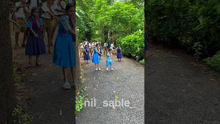 Ganulya majha distoy chhan  direction nilsable sairajkendre ganpati ganpatisong dance song [upl. by Raff]