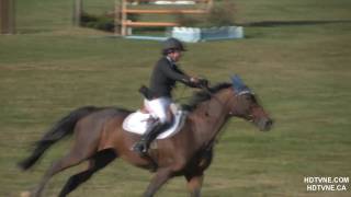 Horse Jumping Jumper Classic Hampton Falls NH HDTVNE [upl. by Llamaj]