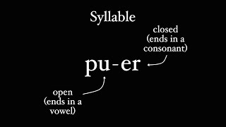 How Latin Does Syllables [upl. by Noseyt]