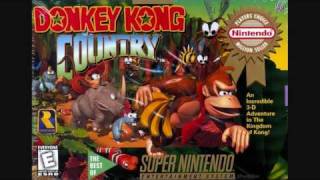 Donkey Kong Country Funky Kongs Theme Song [upl. by Omrellug484]