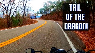 Honda Rebel 500  Tail of the Dragon  Pure Sound [upl. by Pontius]