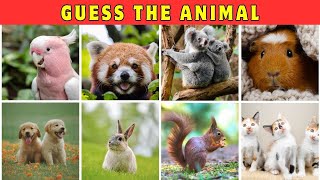 Brain test level 168 Find all the animals in the picture [upl. by Iarahs]