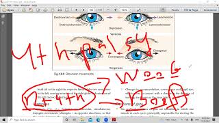 second lecture in strabismus [upl. by Gurias]