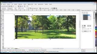 herramienta transparencia en corel draw [upl. by Adgam]